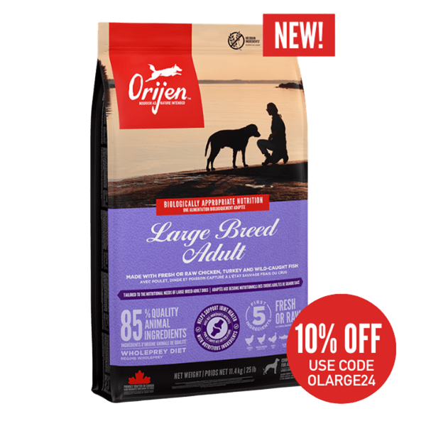 Orijen senior dog food 11.4 kg best sale